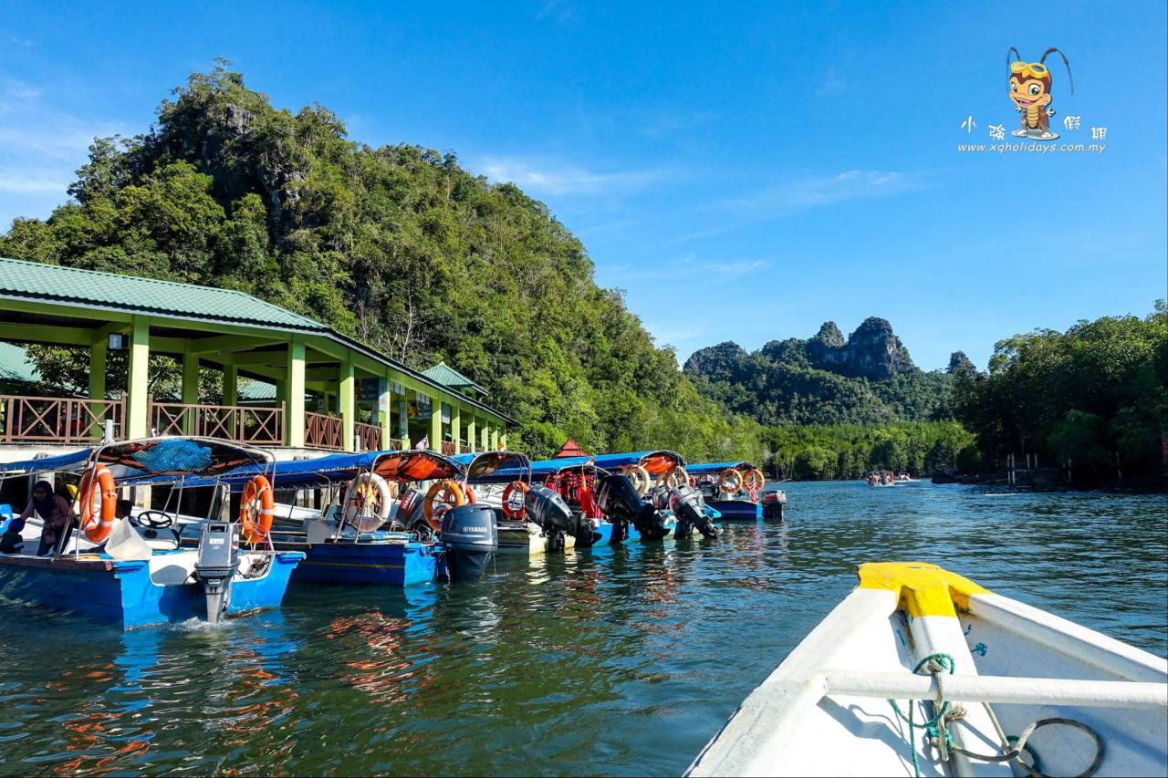 Jelajahi Keindahan Ekosistem Mangrove Langkawi dengan Mangrove Tour